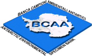 Logo BCAA